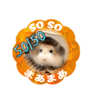 HammyVille 2 - Cute and Fun Pet Hamsters（個別スタンプ：20）
