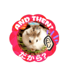 HammyVille 2 - Cute and Fun Pet Hamsters（個別スタンプ：21）