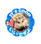 HammyVille 2 - Cute and Fun Pet Hamsters（個別スタンプ：22）