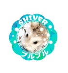 HammyVille 2 - Cute and Fun Pet Hamsters（個別スタンプ：33）