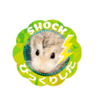 HammyVille 2 - Cute and Fun Pet Hamsters（個別スタンプ：34）