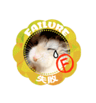 HammyVille 2 - Cute and Fun Pet Hamsters（個別スタンプ：36）