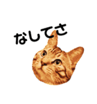 北海道訛りの猫（個別スタンプ：10）