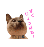 北海道訛りの猫（個別スタンプ：32）