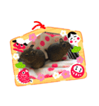デグーのむぎとすず（個別スタンプ：40）