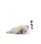 とろ日和 その③（個別スタンプ：6）