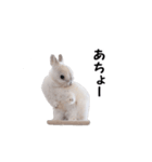とろ日和 その③（個別スタンプ：10）