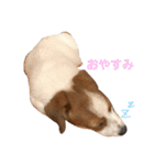 ろんろころん1（個別スタンプ：2）
