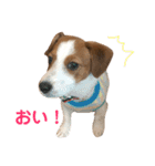 ろんろころん1（個別スタンプ：6）