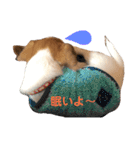 ろんろころん1（個別スタンプ：7）