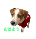 ろんろころん1（個別スタンプ：13）