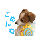 ろんろころん1（個別スタンプ：17）