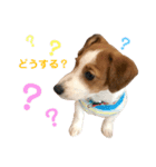 ろんろころん1（個別スタンプ：18）