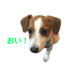 ろんろころん1（個別スタンプ：24）