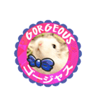 HammyVille 3: Super Cute Pet Hamsters（個別スタンプ：2）