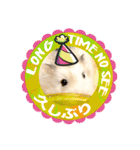 HammyVille 3: Super Cute Pet Hamsters（個別スタンプ：5）