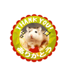 HammyVille 3: Super Cute Pet Hamsters（個別スタンプ：21）