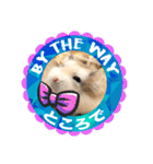 HammyVille 3: Super Cute Pet Hamsters（個別スタンプ：23）