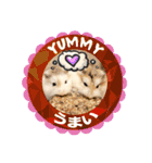 HammyVille 3: Super Cute Pet Hamsters（個別スタンプ：25）