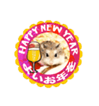 HammyVille 3: Super Cute Pet Hamsters（個別スタンプ：29）