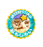 HammyVille 3: Super Cute Pet Hamsters（個別スタンプ：30）