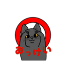 うちの愛猫すたんぷ（個別スタンプ：1）
