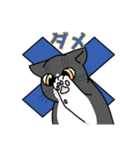 うちの愛猫すたんぷ（個別スタンプ：2）
