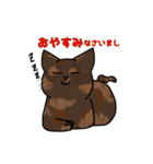 うちの愛猫すたんぷ（個別スタンプ：4）