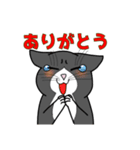 うちの愛猫すたんぷ（個別スタンプ：5）