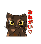 うちの愛猫すたんぷ（個別スタンプ：6）