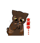 うちの愛猫すたんぷ（個別スタンプ：12）