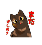うちの愛猫すたんぷ（個別スタンプ：13）