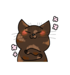 うちの愛猫すたんぷ（個別スタンプ：18）