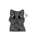 うちの愛猫すたんぷ（個別スタンプ：24）