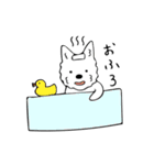 白犬ウエスティのスタンプ（個別スタンプ：23）