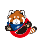 YSP横浜戸塚のレッサーパンダ『YSパンダ』（個別スタンプ：33）