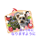 うるめだよーん！（個別スタンプ：3）