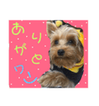 うるめだよーん！（個別スタンプ：10）