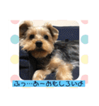 うるめだよーん！（個別スタンプ：17）