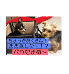 うるめだよーん！（個別スタンプ：19）