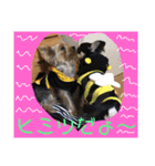 うるめだよーん！（個別スタンプ：23）