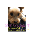 うるめだよーん！（個別スタンプ：29）