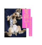 うるめだよーん！（個別スタンプ：31）