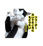 白黒の猫のスタンプ（個別スタンプ：21）