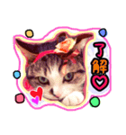 まおちゃん＆ねこちゃんず（個別スタンプ：7）