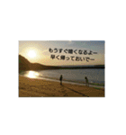 豆助語録（個別スタンプ：12）