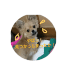 豆助語録（個別スタンプ：14）