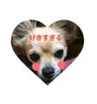 豆助語録（個別スタンプ：24）