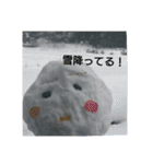 豆助語録（個別スタンプ：26）