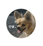 豆助語録（個別スタンプ：28）
